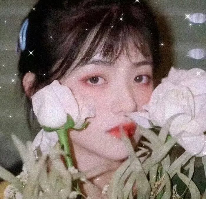 淑女绅士